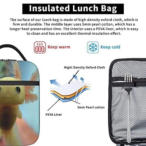 Yilad Funny Science Chemistry Lunch Box Insulated Soft Bag Reusable Cooler Bag For Women&Men&Work Picnic Hiking