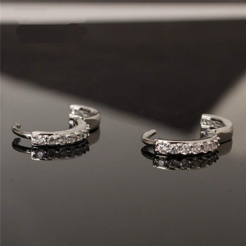 925 Sterling Silver Hoop Earrings for Women | Small Zircon Inlay Hoops Stud Earring Fashion Jewelry Gift (one row zircon)