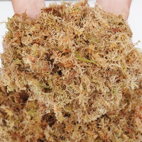Kapecute 5oz Sphagnum Moss for Plant Propagation, Great Orchid Potting Mix, Help with Maintain Humidity