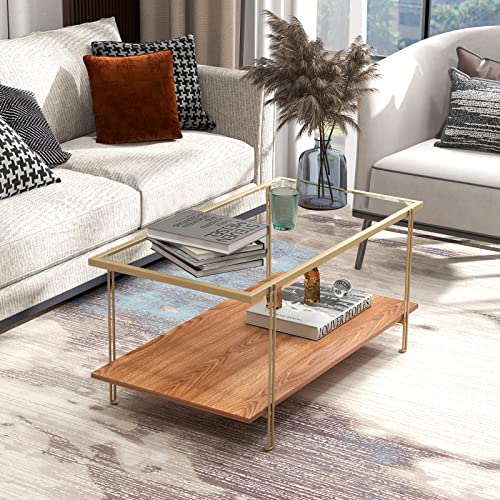 Tangkula Glass Coffee Table, 40In Mid Century 2 Tier Rectangle Coffee Table, Tempered Glass Top & Wood Storage Shelf, Steel Frame, Adjustable Feet, Modern Cocktail Accent Table for Living Room (Gold)