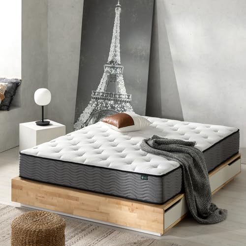 ZINUS 12 Inch True Support Hybrid Mattress [New Version], Queen, Fiberglass Free, Medium Feel, Motion Isolation, Certified Safe Foams & Fabric, Mattress in A Box
