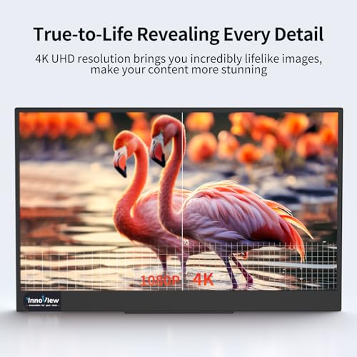 InnoView 4K Portable Monitor 15.6" 3840x2160 UHD, 95% Adobe, ΔE<2 Portable Monitor Laptop Eye Care Lightweight HDR Portable Screen for Laptop MacBook Xbox PS5 Switch PC Phone