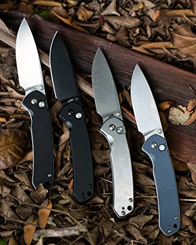 CJRB Folding Knife Pyrite (J1925) AR-RPM9 Blade and Black PVD Stainless Steel Handle Button Lock EDC Pocket Knife with Clip