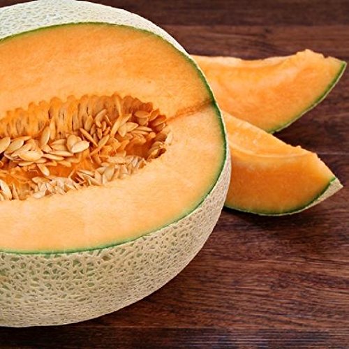 Fruit Cantaloupe Top Mark 25 Non-GMO, Heirloom Seeds