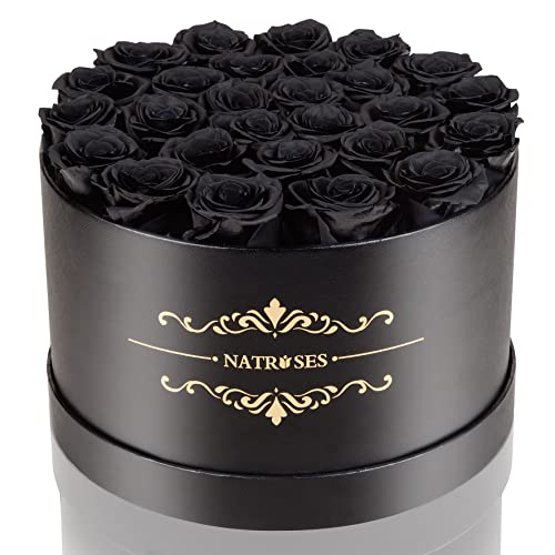 NATROSES Forever Preserved Roses in a Box, 100% Real Roses That Last Up to 3 Years, Preserved Flowers for Delivery Prime Birthday, Valentines Day Gifts for Her (Black)