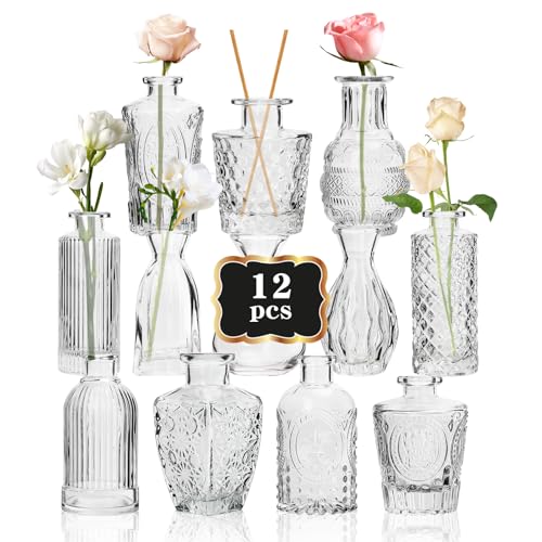 RUCKAE Small Clear Bud Vases Bulk 12 Pack Mini Flower Glass Vases for Centerpiece Table Wedding Decorations Home Decor Party(Transparent)