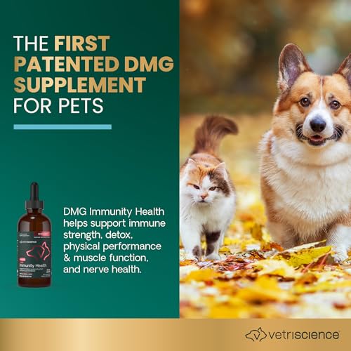 VETRISCIENCE DMG Immunity Health Easy-Dose Liquid, Vetri DMG Immune Support Supplement for Dogs and Cats, Hypoallergenic, Support Performance, Stamina, Immune Response, DMG (Dimethylglycine), 114 ml