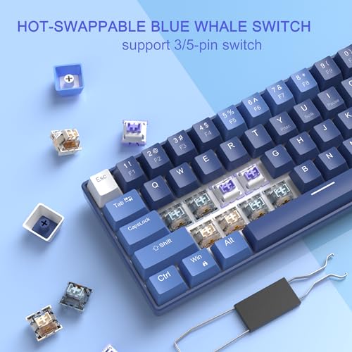 MageGee Portable 60% Mechanical Gaming Keyboard, Hot Swappable Blue Whale Switch, RGB Backlit Compact 68 Keys Mini Wired Gradient Custom Keyboard for Windows Laptop PC, with Silencing Cotton, Black