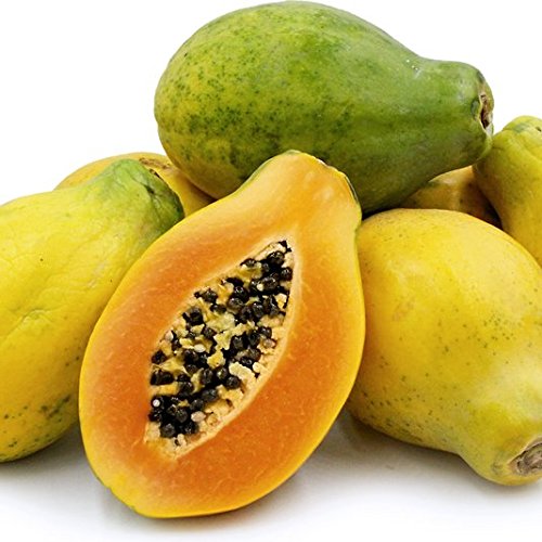 Sunrise Solo Hawaiian Papaya Seeds (Carica Papaya) 5+ Non-GMO Fruit Tree Seeds in FROZEN SEED CAPSULES for The Gardener & Rare Seeds Collector - Plant Seeds Now or Save Seeds for Years