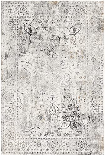 RUG BRANCH Sardini Transitional Moroccan Grey Beige Indoor Runner Rug for Entryway, Hallway, Bathroom, and Kitchen - 2' x 8' (2'3" x 8')