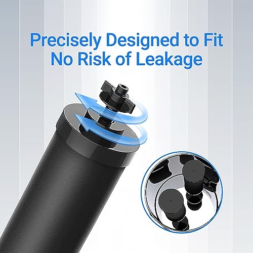 Filterlogic NSF/ANSI 42&372 Certified Water Filter, Replacement for Berkey® BB9-2® Black Purification Elements and Berkey® Gravity Filter System, Pack of 2