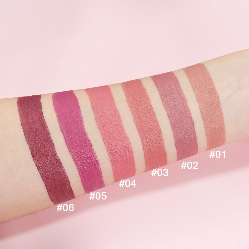 evpct 6Pcs Nude Brown Pink Purple Rose Red Mauve Matte Lipstick Sets for Women Velvet Lipstick Long Lasting Waterproof 24 Hours Lip Stick Stain Makeup Gift Sets labiales mate 24 horas originales A