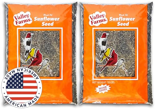 Valley Farms Black Oil Sunflower Seed Wild Bird Food 10 LB 2-Pack (20 LB Total) for Outside Feeders, Sunflower Seeds for Birds, Wild Bird Seed for Outside Feeders