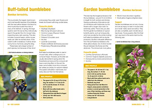 Bee Garden: Nurture your bee population. Select and grow the right flowers. Learn about wild bees of all kinds. Enjoy a garden full of life and color. ... know in one concise manual (Concise Manuals)