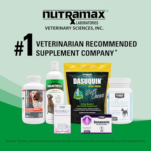 Nutramax Welactin Omega-3 Fish Oil Skin and Coat Health Supplement Liquid for Dogs - 16 Ounce