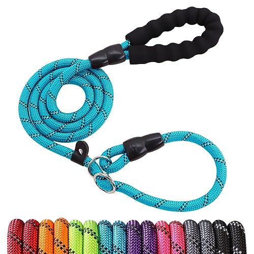 Surepet Slip Lead Dog Leash - 4/5/6 Foot Heavy Duty & Reflective Rope Leashes with Comfortable Handle - No Pull Training Leash for Puppy Small Medium and Large Breed Dogs - (1/2''-6FT, Blue)