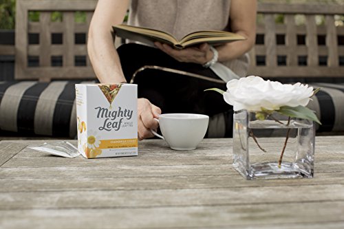 Mighty Leaf Tea Chamomile Citrus Hot Tea Bags, 15 ct