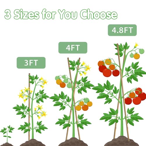 Bamboo Stakes,3FT Natural Bamboo Garden Stakes,BOVITRO 25Pcs Plant Stakes,Bamboo Sticks for Tomato,Beans,Vegetable and Climbing Plants