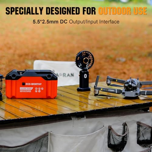 ECO-WORTHY Portable 12V Lithium Battery, 20Ah LiFePO4 Deep Cycle Rechargeable Battery, Built-in BMS, 4000+ Cycles,Perfect for Outdoor Camping Fishing RV Marine Trolling Motor Fishfinder