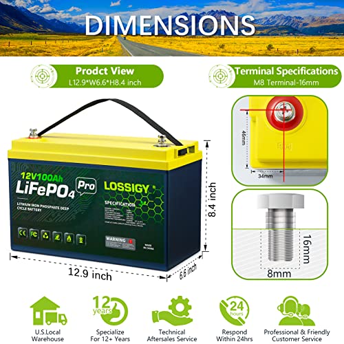 LOSSIGY 12V 100AH Bluetooth Lifepo4 Battery with 12V 10A Smart Lithium Charger, 10 Yrs Lifespan, Prefect for RV, Golf Cart, Solar System, Trolling Motor, Marine, Boat