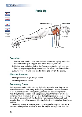 Swimming Anatomy