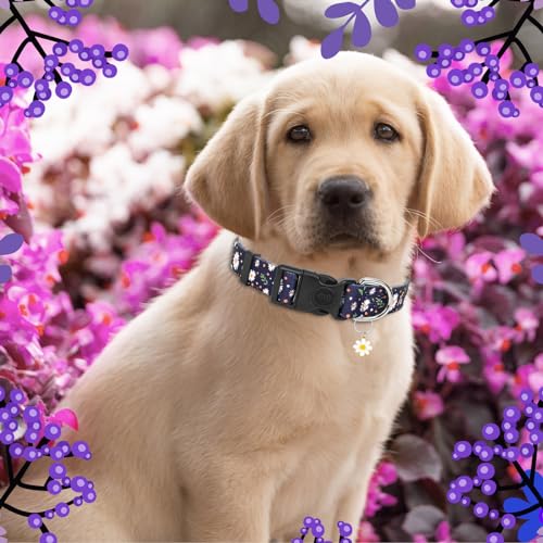 Athbavid Floral Dog Collar, Flower Print Dog Collars with Cute Charm, Adjustable Dog Collars for Small Medium Large Dogs,Pet Girl Boy,Running Walking Playing Exercise,Wedding Holiday