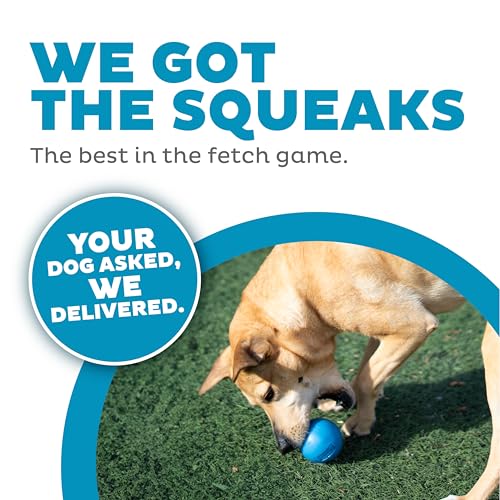 Outward Hound by Planet Dog Squeak Ball Bouncy Fetch Dog Toy, Blue