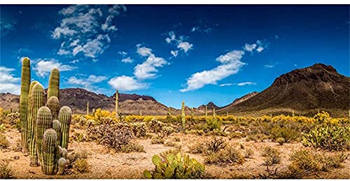 AWERT 72x16 inches Reptile Habitat Background Blue Sky Oasis Cactus Desert Terrarium Background Vinyl