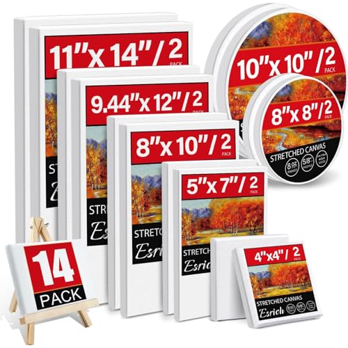 ESRICH Stretched Canvas for Painting 24x36 Inch, 3Pack Large Canvas for Painting, Primed Acid-Free Cotton Blank Canvases, Art Paint Canvases for Oil Paint,Watercolor,Acrylic Paint,Gouache and Tempera.