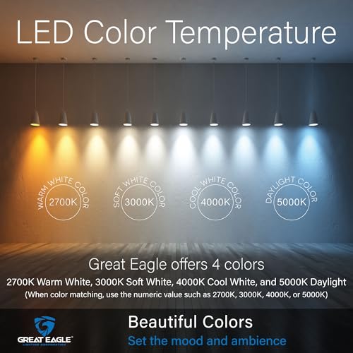 Great Eagle A19 LED Light Bulb, 9W (60W Equivalent), UL Listed, 2700K Warm White, dimmable, Standard Replacement (4 Pack)