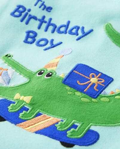 Gymboree,and Toddler Birthday Gymmie Short Sleeve Top and Pant Cotton 2-Piece Pajama Sets,Birthday Girl,14