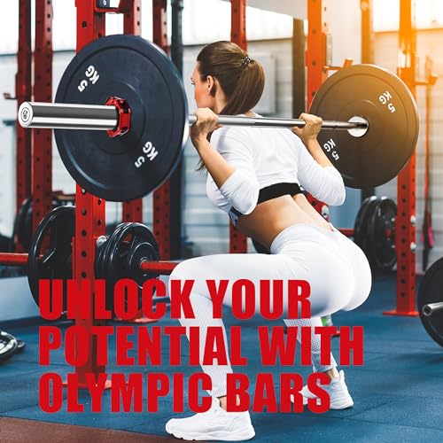 Olympic Barbell Curl Bar EZ Bar Strength Training Bar Threaded Chrome Barbell Bar for Weightlifting, Hip Thrusts, Squats and Lunges