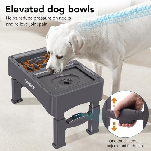 UPSKY 2-in-1 Elevated Dog Bowls Slow Feeder, 4 Height Adjustable Raised Dog Bowl Stand No Spill Dog Water Bowl Dispenser, Anti-Slip Dog Food and Water Bowl for Small Medium Dogs