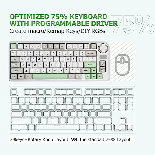 EPOMAKER TH80-X Gasket Mechanical Keyboard, 75% Layout Triple Mode Hot-swap Gaming Keyboard with 4000mAh Battery, LCD Screen, NKRO, RGB for Office/Win/Mac (Green, Epomaker Flamingo Switch)