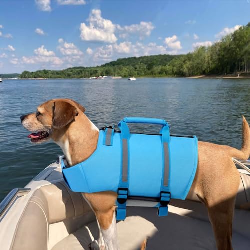 Queenmore Dog Life Jacket, XS Dog Life Vest,High Floating Pet Life Vest for Swimming,Lightweight Adjustable Puppy Life Preserver for Boating,Dog Water Vest with Back Zip,Rescue Handle,Hook (Blue XS)