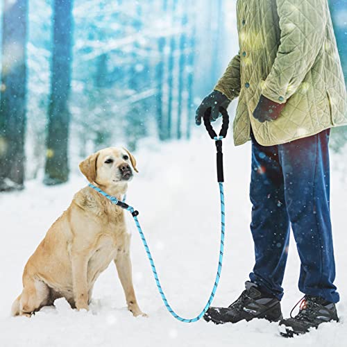 Surepet Slip Lead Dog Leash - 4/5/6 Foot Heavy Duty & Reflective Rope Leashes with Comfortable Handle - No Pull Training Leash for Puppy Small Medium and Large Breed Dogs - (1/2''-6FT, Blue)