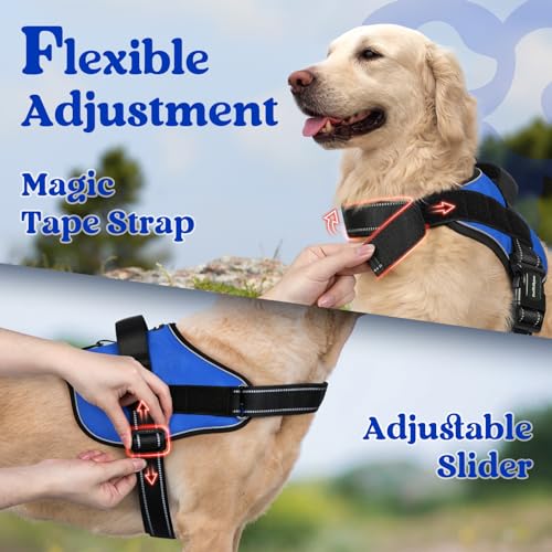 rabbitgoo Dog Harness Small Sized, No Pull No Choke Pet Vest, Easy Wearing with One Buckle, Reflective, Adjustable Pet Harness with Molle for Walking, Training, Blue, S
