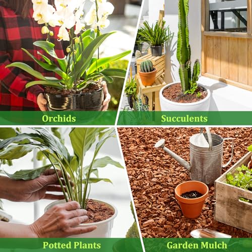 Legigo 2 Quarts Organic Orchid Potting Bark- All Natural Orchid Bark Potting Mix Pine Bark Wood Chips for Houseplant Mulch, Orchid Plants Root Development, Mulch for Potted Plants