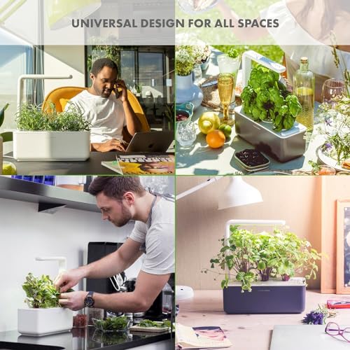 Click & Grow Indoor Herb Garden Kit with Grow Light | Smart Garden for Home Kitchen Windowsill | Easier Than Hydroponics Growing System | Vegetable Gardening Starter (3 Basil Pods Included), Grey