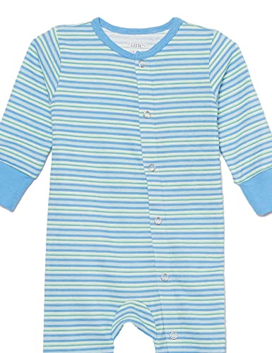 Hanes Baby Girls Play Suits, Ultimate Flexy Knit And Sleep Playsuits, Pajamas 2-pack Bodysuit, Blues, 0-6M US