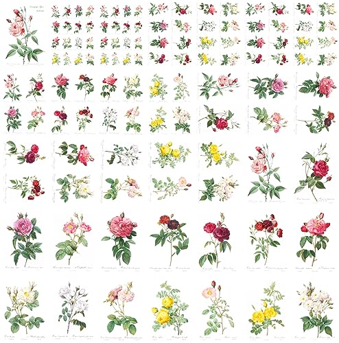 Decoupage Paper Pack (35 Sheets 6"x8") Beautiful Illustrations of Plants and Pretty Flowers FLONZ Vintage Illustration Pictures Cards for Decoupage, Craft and Scrapbooking