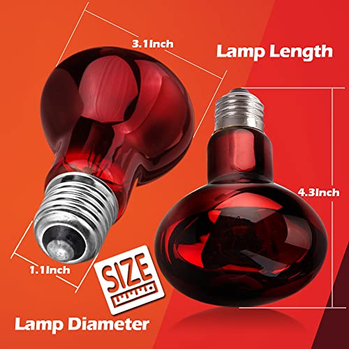 MCLANZOO 2 Pack 50w Reptile Heat Lamp Bulb Infrared Basking Spot Heat Lamp for Reptiles & Bearded Dragon Amphibian, Chicks, Dog Heating Use with Stick-on Digital Temperature Thermometer