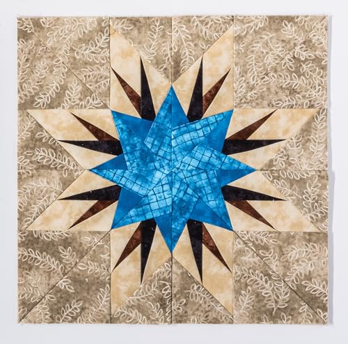 60 Fabulous Paper-Pieced Stars: Includes 10 New National Parks Blocks