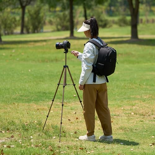 Amazon Basics 50-inch Lightweight Portable Camera Mount Tripod Stand with Bag, for Travel Photography, Black/Brown