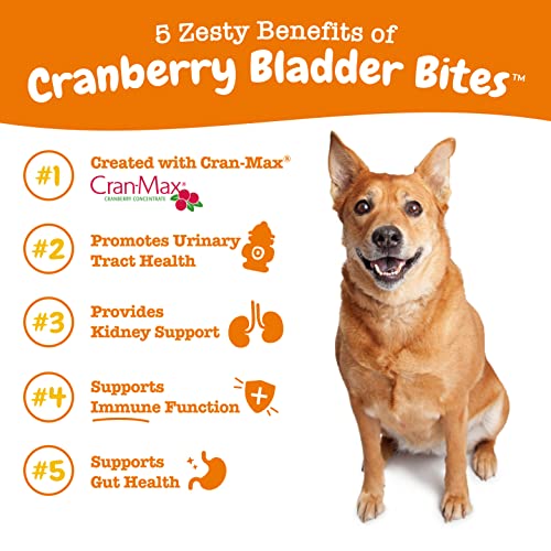 Zesty Paws Cranberry Bladder Bites for Dogs - Kidney & Urinary Tract Health - Soft Chews with D-Mannose, Vitamin B6 & L-Arginine - Immune & Gut Support - Bacon - 90 Count