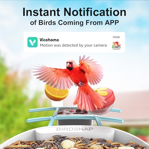 birdsnap® PAV - Smart Bird Feeder with Camera, 5 DIY Add-ons & 64G SD Card Auto Record Bird Video Bird House for Outside, AI Identify Bird Auto Capture with Solar Panel, Ideal Gift for Bird Lover