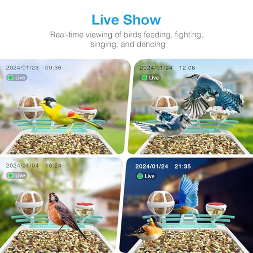 Smart Bird Feeder with Camera, AI Recognition and Solar Powered, Auto Capture & Notity, Bird Video & Motion Detection, Ideal Gifts for Bird Lover