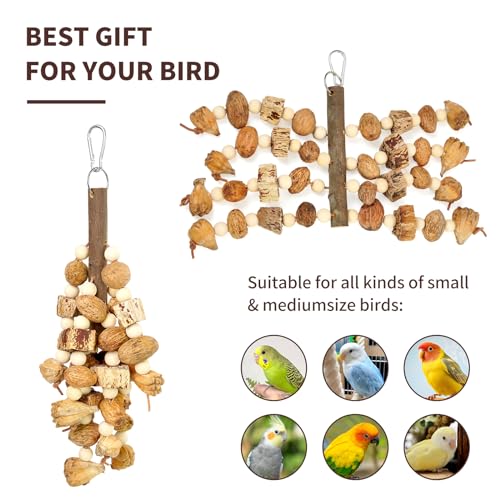 HPAWHOMEPART Large Bird Toys,Chewing Toys for Parrot,Natural Nut Hanging Toys for Parakeet,Lovebirds,Finch,Macaws,Cockatiel