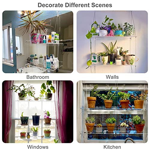 airogym 2-Tier Acrylic Plant Shelves for Window of Kitchen, 16 Inch Window Wall Clear Hanging Plant Stand, Height Adjustable Hanging Shelves for Indoor Window Plants, Succulents Flower Pots Organizer