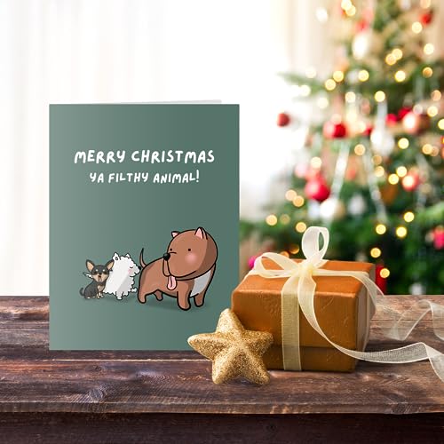 ALY LOU Christmas Cards Funny Holiday Box Set Pack Assorted, Quality Xmas Sarcastic Greeting Cards for Family Friends (10 Cards Total - White Funny & Sarcastic - 1 of each design)